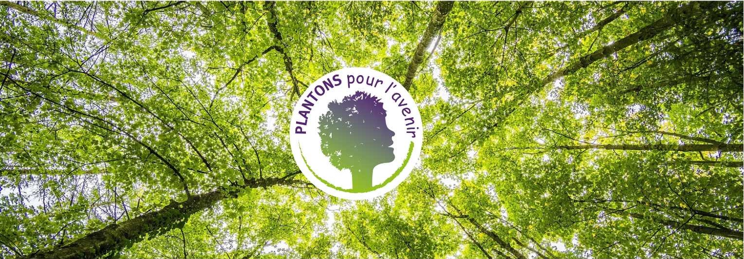 Nos actions pour la reforestation